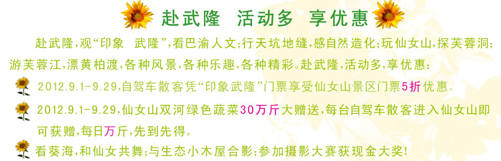 活动内容
