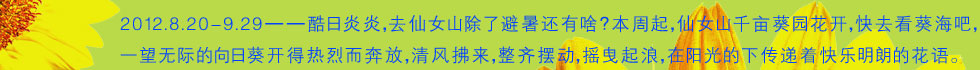 导语