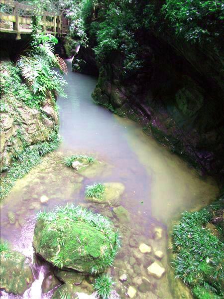 鲤鱼池