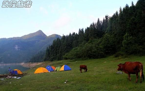 武隆露营