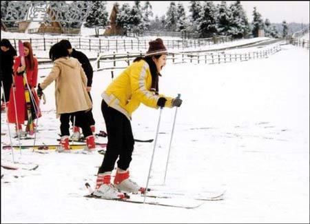 仙女山雪上运动项目