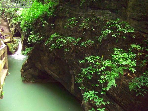 龙水峡地缝景点之“玉龟出山”