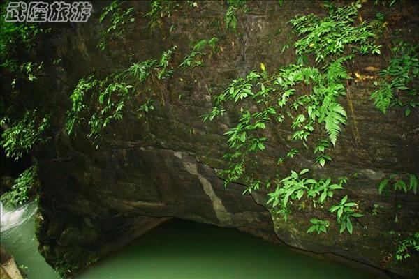 龙水峡地缝景点之“玉龟出山”
