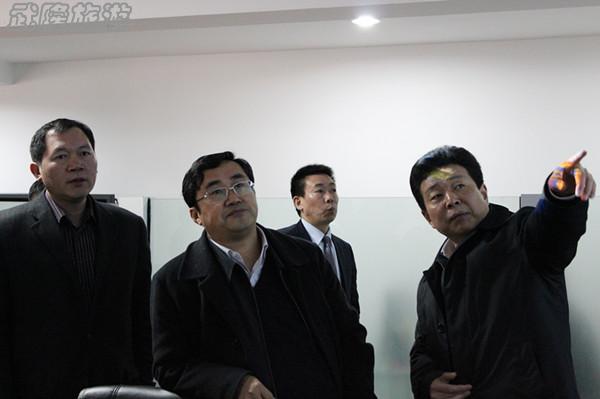重庆副市长凌月明视察武隆喀斯特旅游区