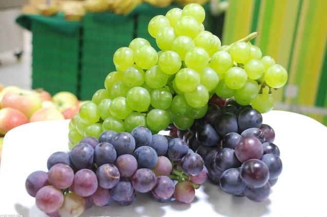 葡萄