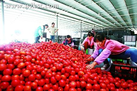 武隆掘金生态旅游 农家乐月赚万元