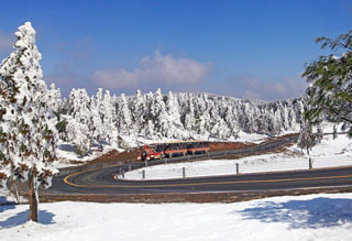 仙女山新年雪景