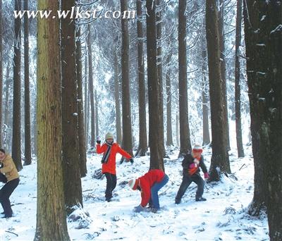 冰天雪地的童话世界  武隆旅游 武隆