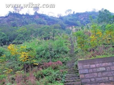 心灵的那方净土 游鸭江鲤鱼石森林公园小记