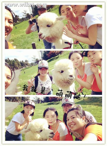 如果我是向日葵-你们就是我的阳光(重庆武隆)