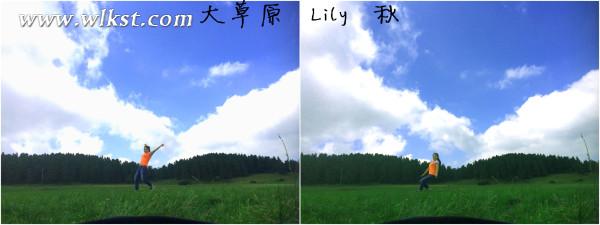 如果我是向日葵-你们就是我的阳光(重庆武隆)