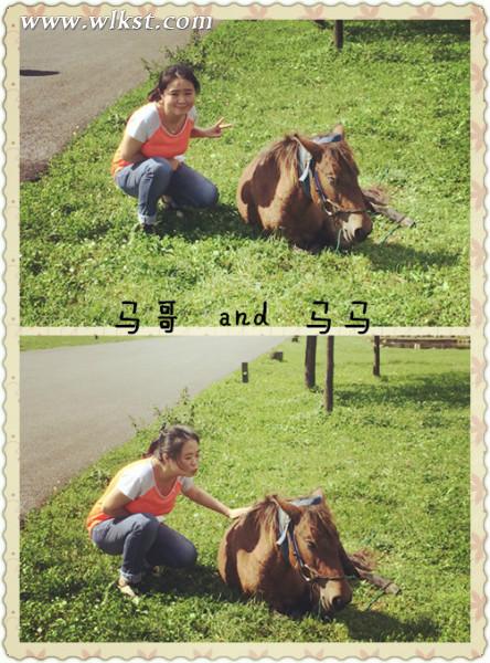 如果我是向日葵-你们就是我的阳光(重庆武隆)