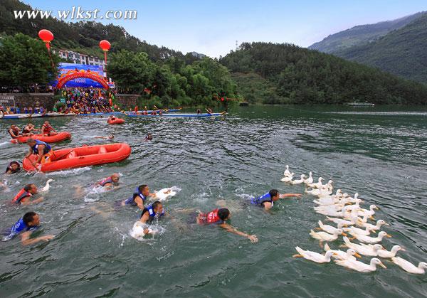 芙蓉江龙舟赛忠县队蝉联双冠王 人鸭共舞逗乐全场