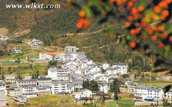 武隆县木根村。