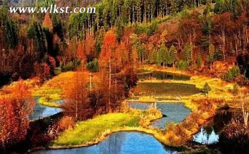 1,石柱黄水森林公园  山在红里,红在山中,层次分明,错落有致,一直