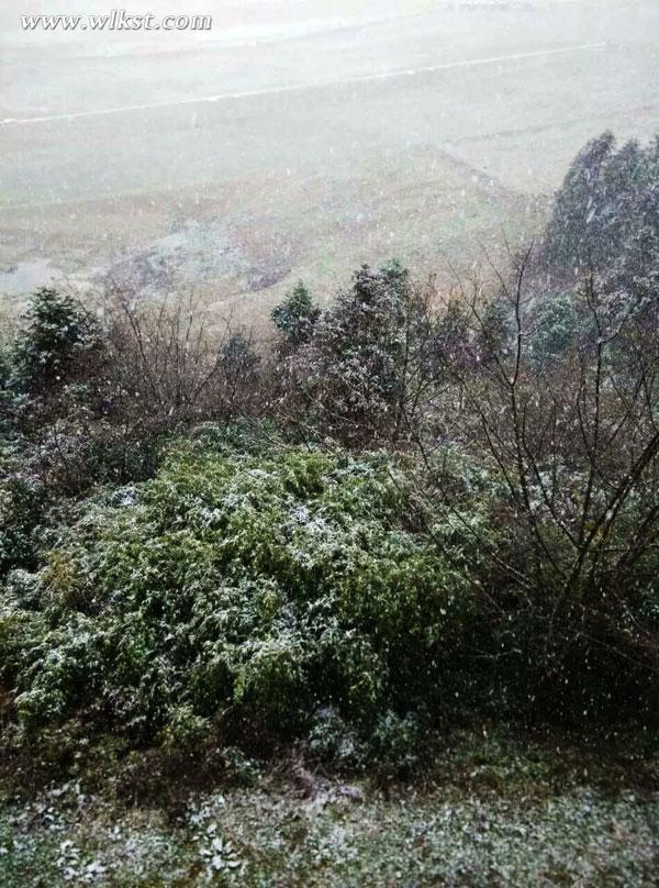 仙女山下雪啦！本周末有望可滑雪