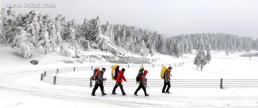 2015冬天仙女山旅游攻略(玩雪、门票、精彩看点等)