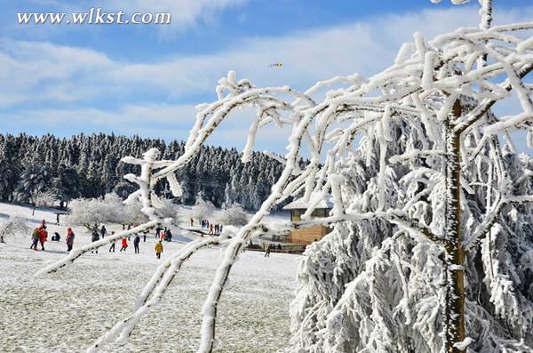 2015冬天仙女山旅游攻略(玩雪、门票、精彩看点等)