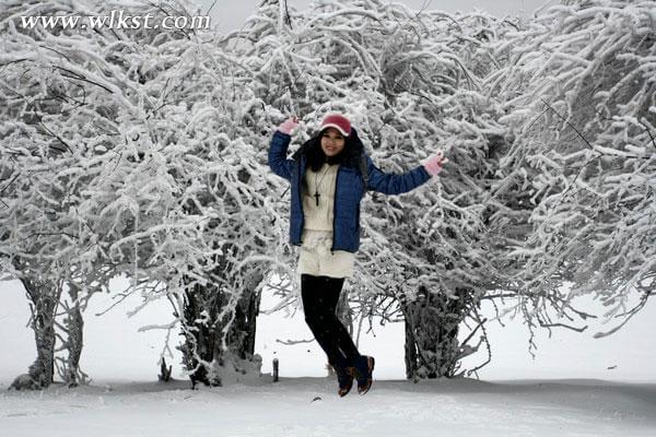 一下雪,仙女山便成了另一个天堂……