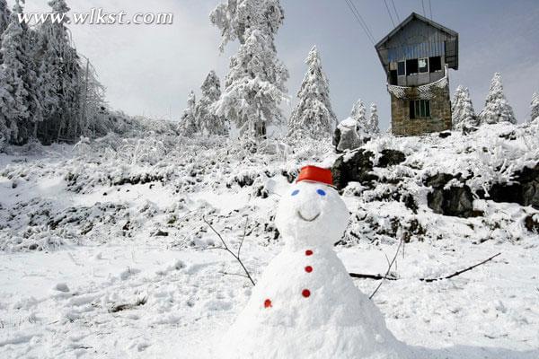 一下雪,仙女山便成了另一个天堂……