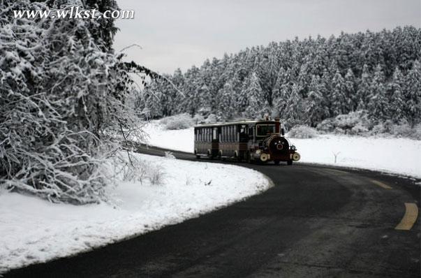 一下雪,仙女山便成了另一个天堂……