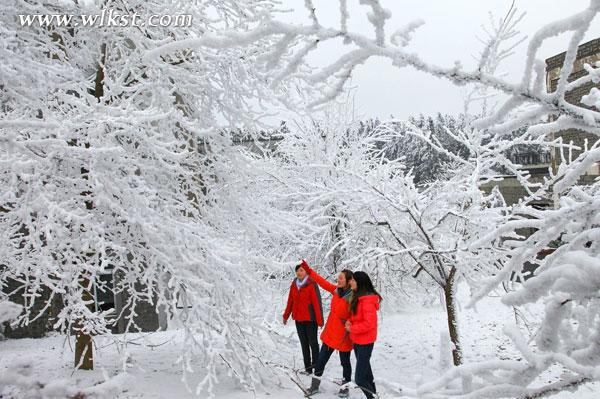 重庆冬天滑雪去哪里