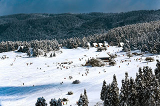 仙女山雪后初霁