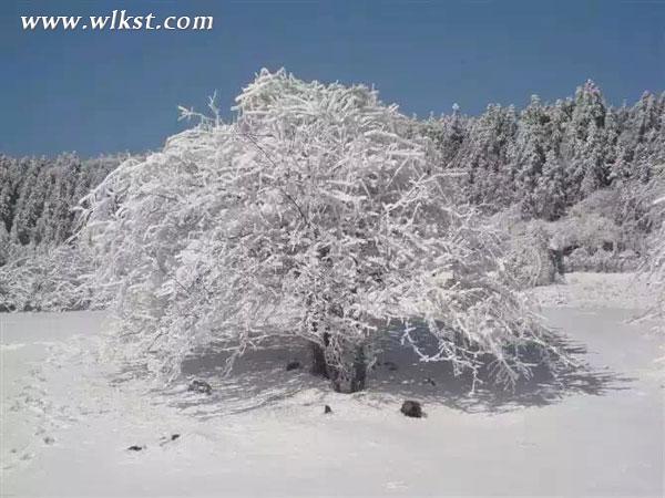 仙女山雪景