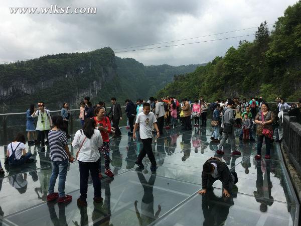 尖叫不停歇 武隆天生三桥悬崖玻璃眺台成刺激体验宠儿