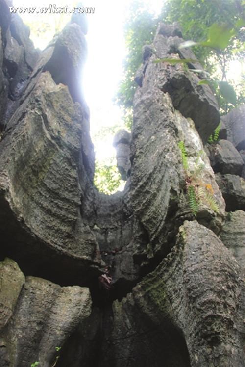 高耸的山峰昂首苍穹。