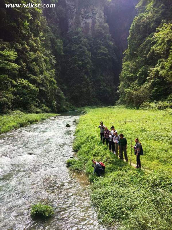 旅行狂人老猫说自驾之二十：世外桃源犀牛古寨