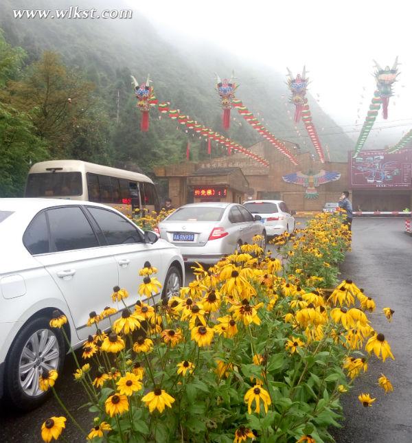 自驾车辆陆续进入仙女山景区_风景520 仙女山镇接待中心花团锦簇迎国庆 10月1日,国庆长假第一天,武隆各大景区主干道上飘展着着鲜艳的五星红旗,仙女山镇游客接待中心花团锦簇,浓烈喜庆的国庆氛围,热情的迎接着四方宾客的到来。 仙女山大草原红旗招展 “早就迫不及待要给祖国母亲庆生了!”学生模样的小张看到马路两旁的五星红旗,幽默的表达着自己对祖国的热爱之情。一进入仙女山国家旅游度假区,就可以看见迎杏大道两旁的银杏树上整齐的刮着鲜艳的五星红旗,十分喜庆。青山绿水中一点红,既应景又喜庆,很多游客都被浓浓的喜庆氛围感染。