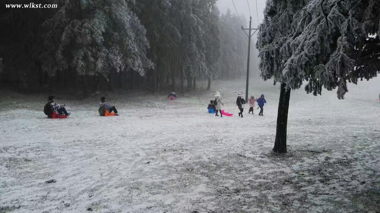 游客在仙女山欢乐戏雪