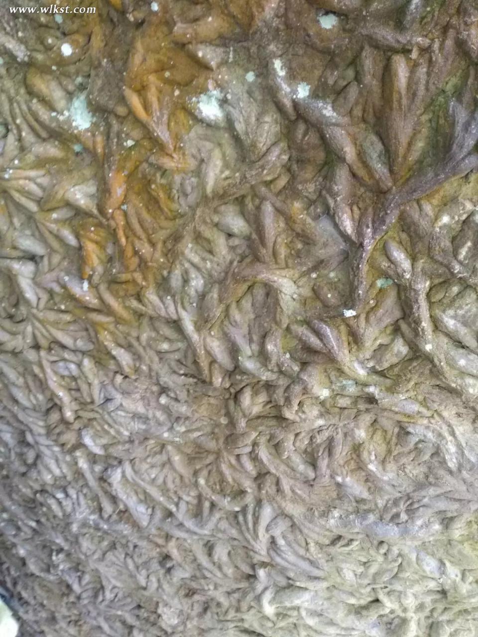 家乡永远是我们最眷恋的归宿——民主村