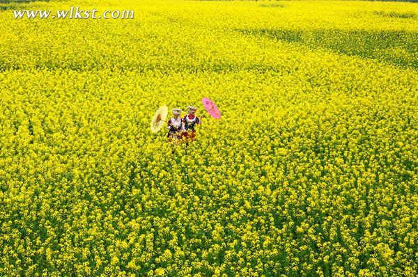 重庆彭2017水乡村旅游季4月7日即将启幕