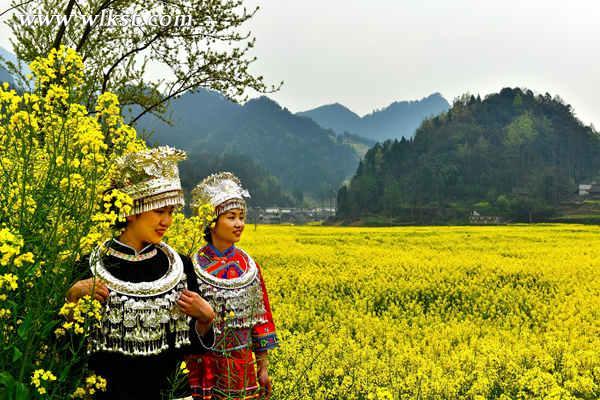 重庆彭2017水乡村旅游季4月7日即将启幕