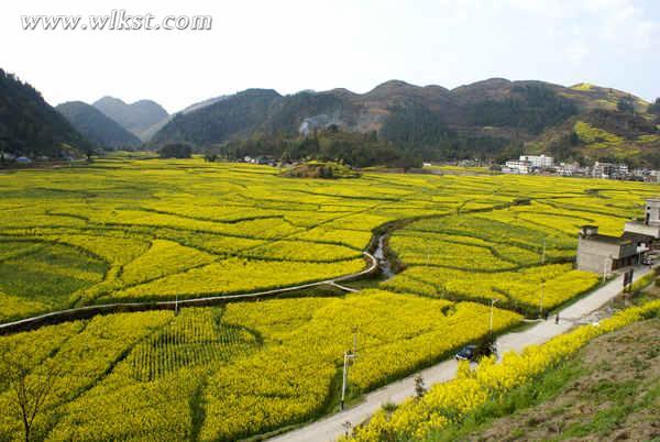 重庆彭2017水乡村旅游季4月7日即将启幕