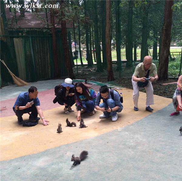 　亚州首家奇幻松鼠乐园 本周六在武隆仙女山开园