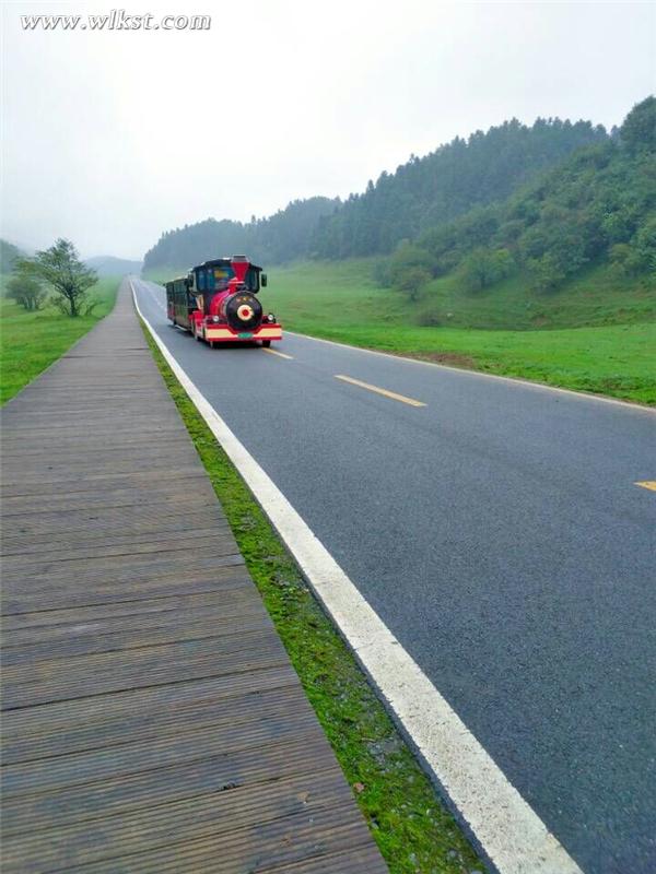 小火车行使在仙女山最美公路上(李琼/供图)