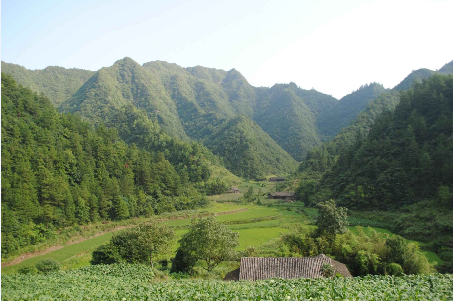 铜鼓原始村落