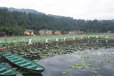 沧沟大田村