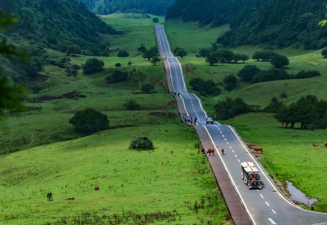 百车自驾仙女山最美公路 沿途风景令人陶醉