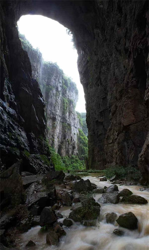 鲤鱼跃龙门景观