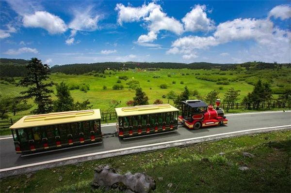 仙女山小火车