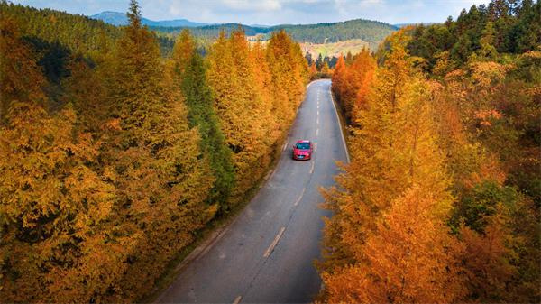 秋天的仙女山美丽公路