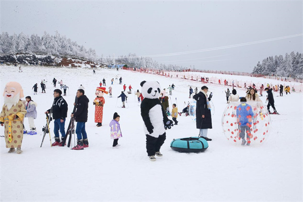 NPC冰雪巡游