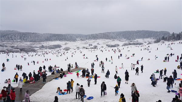 众多游客在仙女山大草原玩雪
