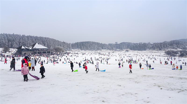 众多游客在仙女山大草原玩雪