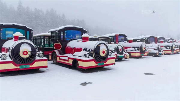 仙女山冰雪童话世界中的小火车