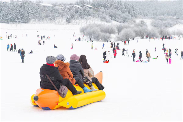 雪地毛毛虫